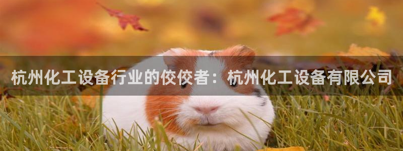 天辰娱乐都是干什么的