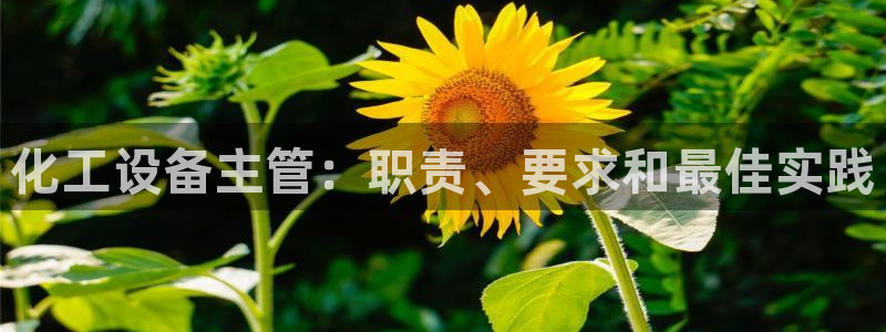 天辰注册会员要钱吗