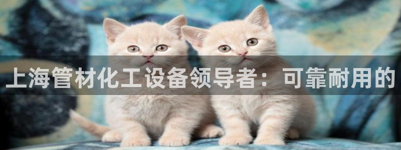 天辰平台注册地址怎么填