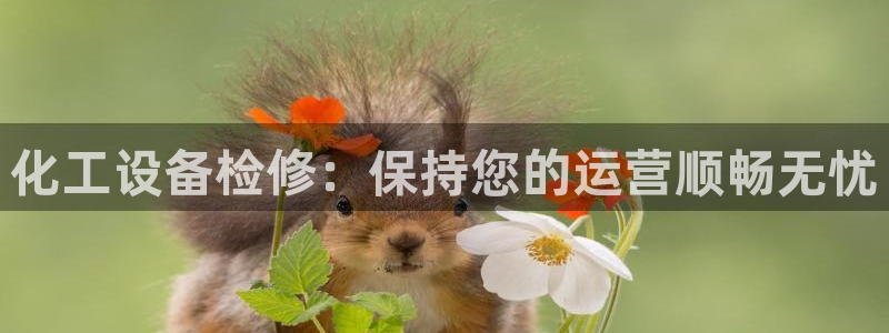 天辰平台测速登录失败怎么办