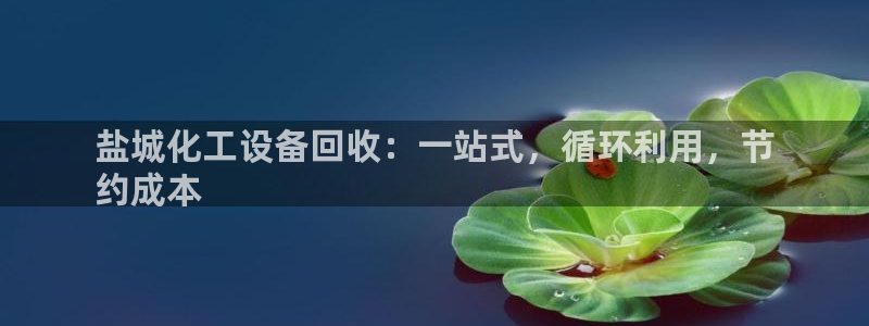 天辰平台会员怎么开