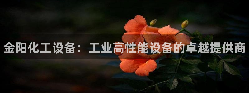 天辰平台 注册你的专属平台入口在哪