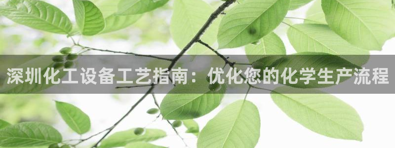 天辰平台给下级分红怎么派发的