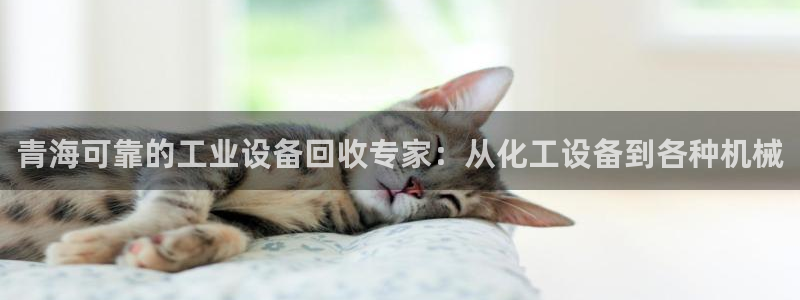 天辰平台专用通道安全稳定