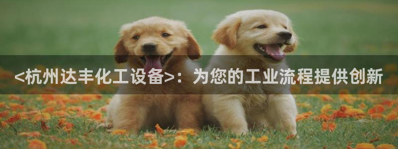天辰平台毡3300