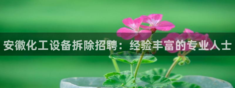 天辰平台登录地址在哪里