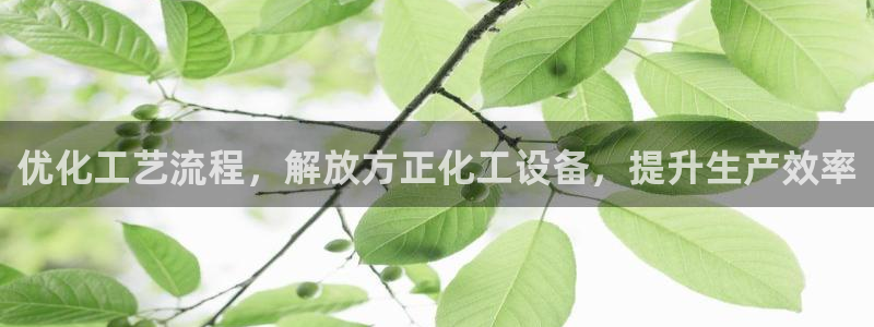 天辰平台用户登录不了账号