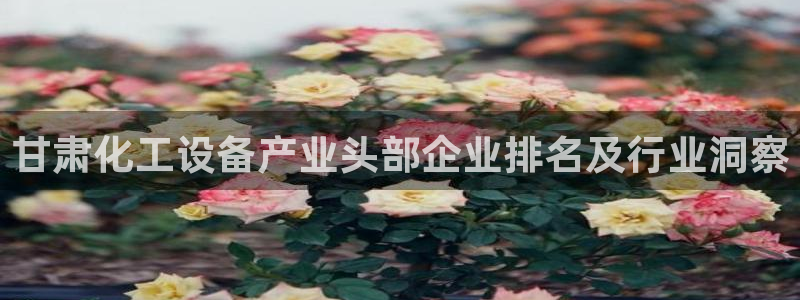 天辰平台木 5O6917 天辰