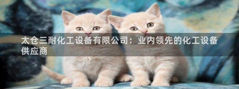 天辰平台用户登录不上