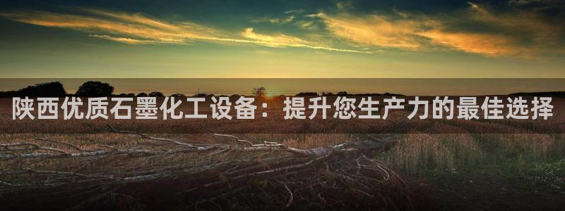 天辰平台测速登录不上去