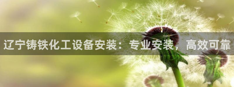 天辰平台会员多少钱一年：辽宁铸铁化工设备安装：专业