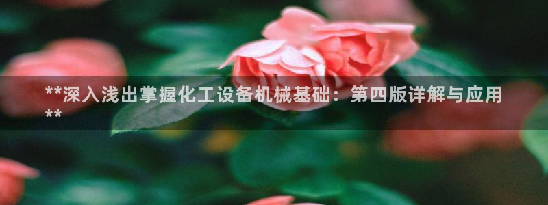 天辰娱乐平台是黑网吗是真的吗：**深入浅出掌握化工