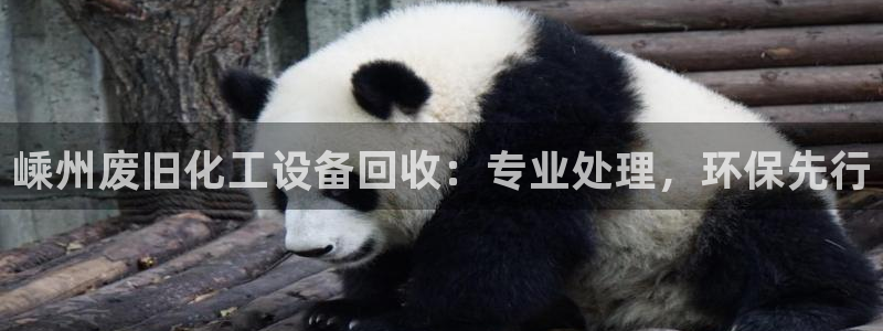 天辰娱乐都是干什么的公司