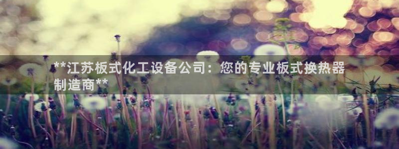 天辰商盟创业平台：**江苏板式化工设备公司：您的专业板式换热