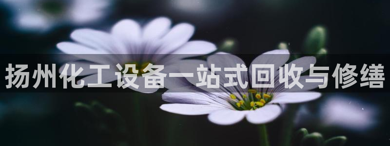 天辰平台注册地址在哪：扬州化工设备一站式回收与修缮