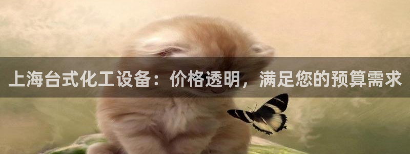 天辰信息网登录