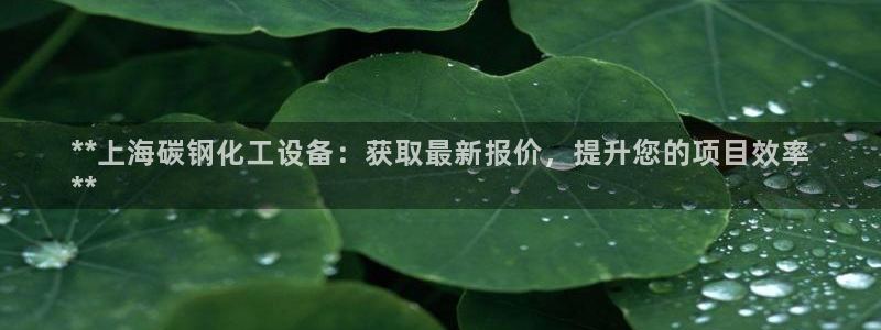 天辰娱乐厅破解规律透视辅助：**上海碳钢化工设备：