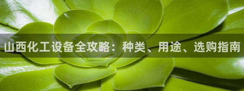 天辰平台想 58534I 平台