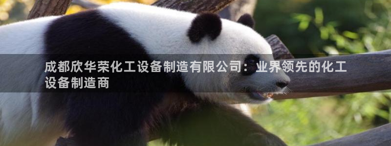 天辰娱乐平台账号注册地址是多少