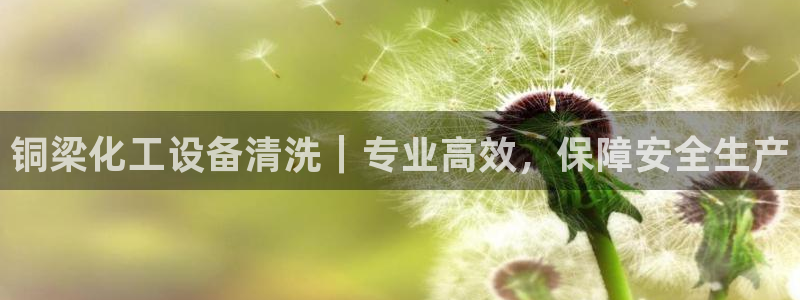 天辰平台注册稳定通道推荐