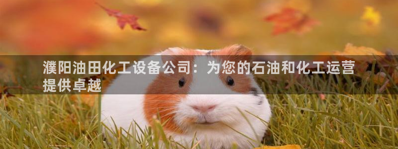 天辰平台障44262