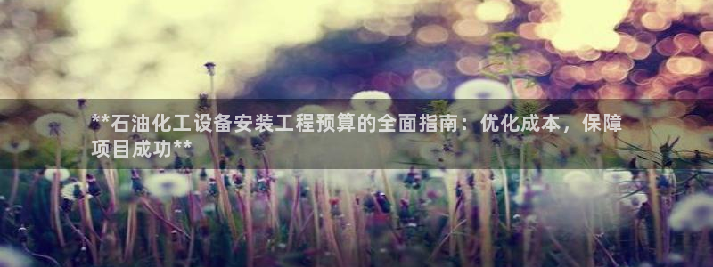 天辰平台招商1111是什么意思：**石油化工设备安