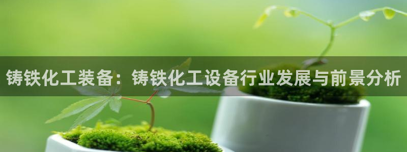 天辰平台划7O777：铸铁化工装备：铸铁化工设备行