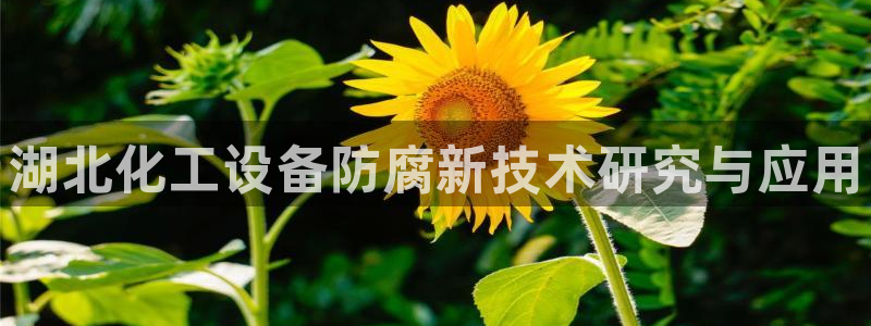 天辰平台测速登录失败怎么办