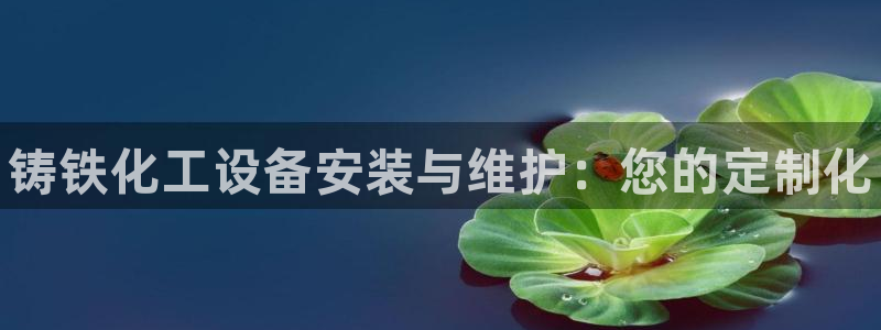 天辰平台联 411O31 平台：铸铁化工设备安装与维护：您的