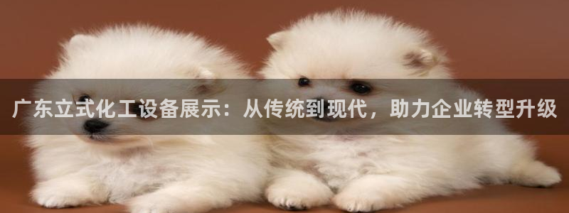 天辰平台t~专用通道安全稳定：广东立式化工设备展示