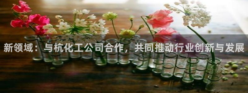 天辰平台 注册你的专属平台入口是什么：新领域：与杭