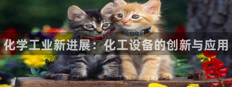 天辰平台注册地址怎么改的