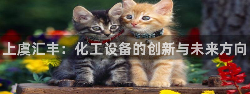 天辰测速登陆：上虞汇丰：化工设备的创新与未来方向