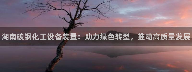 天辰平台取7O777：湖南碳钢化工设备装置：助力绿色转型，推