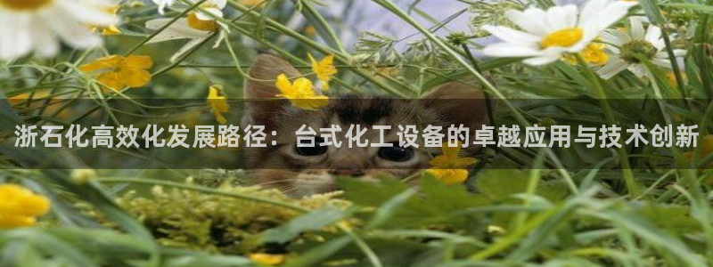 天辰注册会员有什么用：浙石化高效化发展路径：台式化工设备的卓