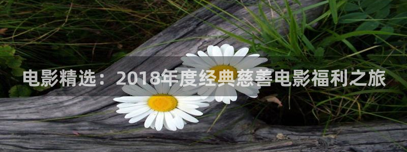 青青综合影院：电影精选：2018年度经典慈善电影福利之旅