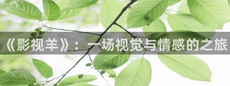 青青草原综合网：《影视羊》：一场视觉与情感的之旅