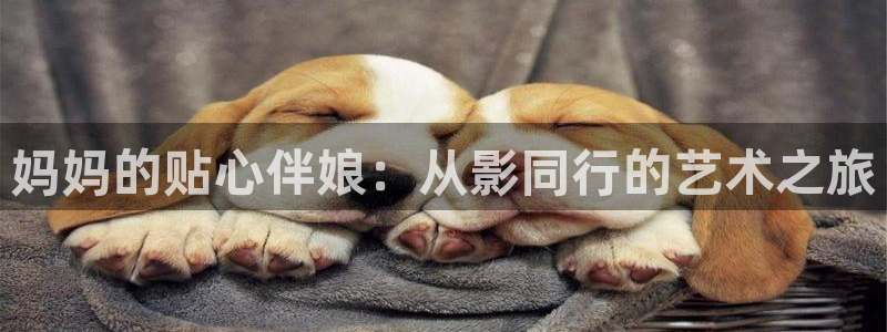 青青小草影院：妈妈的贴心伴娘：从影同行的艺术之旅