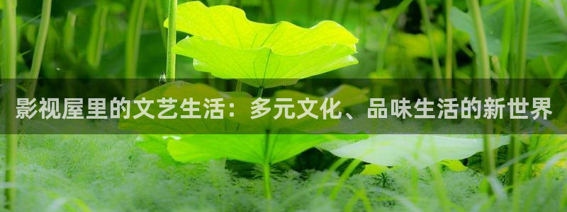 青青草原网址：影视屋里的文艺生活：多元文化、品味生活的新世界