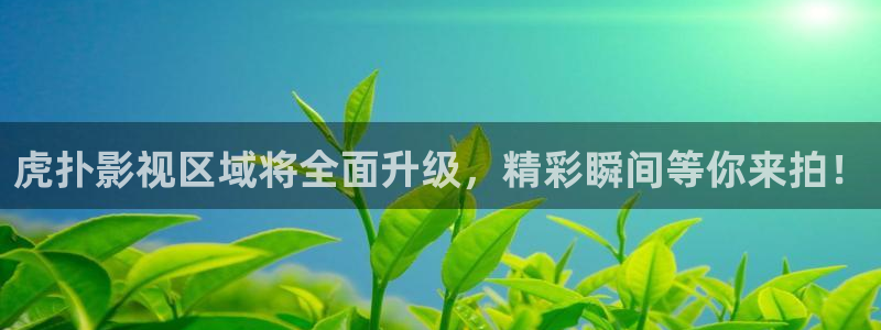 青青影院在线观看：虎扑影视区域将全面升级，精彩瞬间等你来拍！